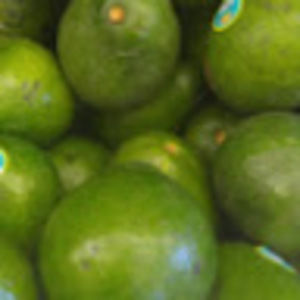 Meet your Posher, Claudia